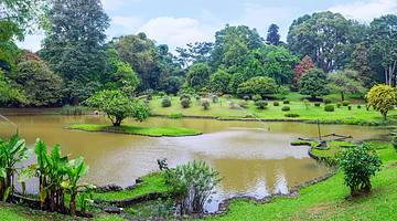 A picturesque pond with green, manicured lawns and trees around