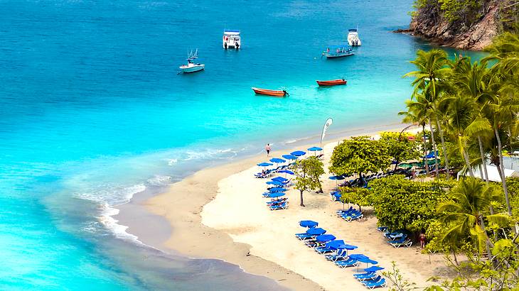 Aerial of blue sunbathing chairs and umbrellas on a sandy beach facing the ocean