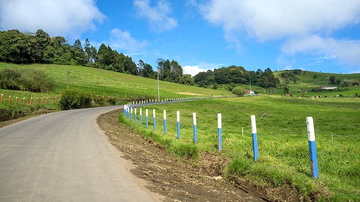 Countryside view with trees in the distance and green meadows along a road