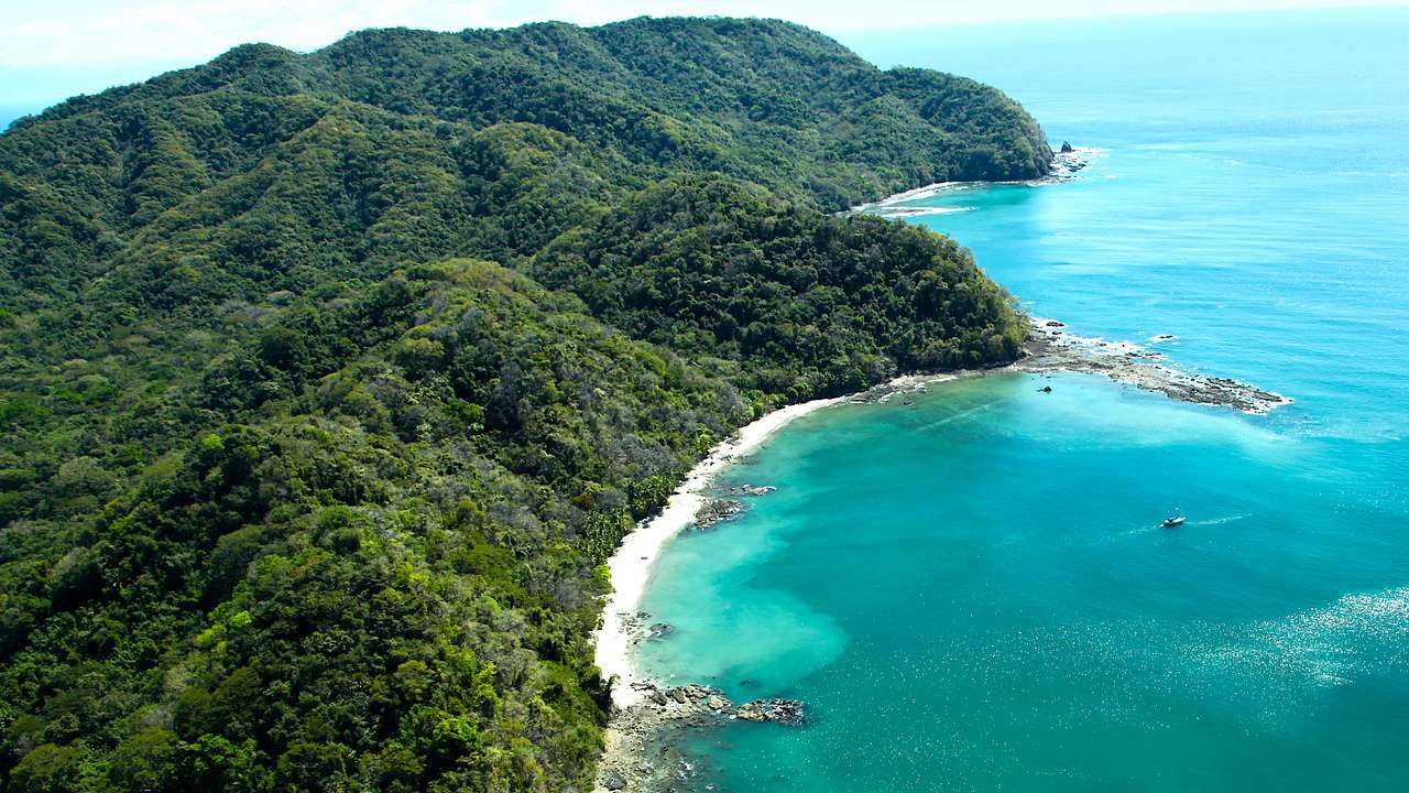 Aerial view of a coastline with lush green vegetation