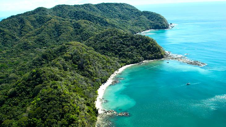 Aerial view of a coastline with lush green vegetation