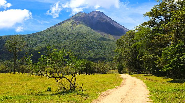 Empty dirt road lined with greenery with a mountain in the distance on a sunny day