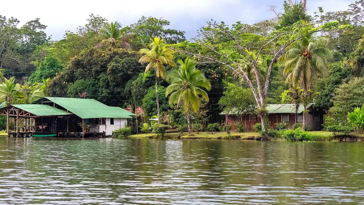 Typical local houses on a riverbank with trees and plants in the background
