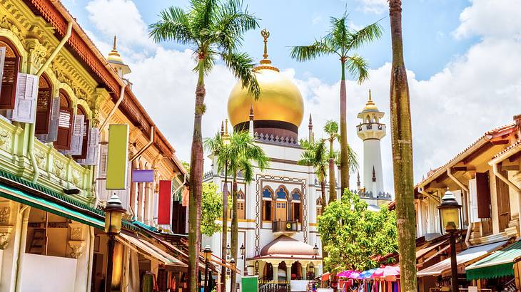 Pedestrian walkway with shophouses on both sides with a mosque at the end, Singapore