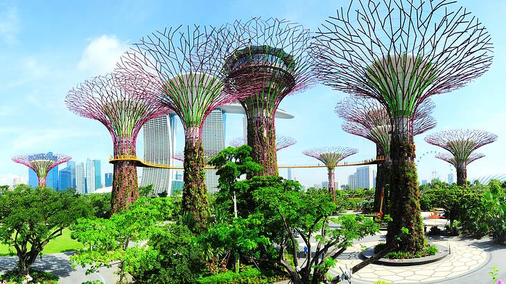 Super tall artificial trees at Gardens by the Bay in Singapore, with real trees below