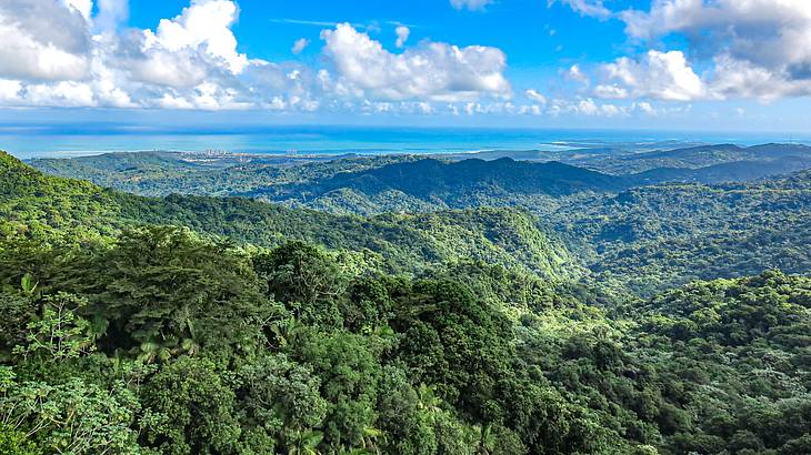 The very green El Yunque National Forest, one of the famous landmarks in Puerto Rico
