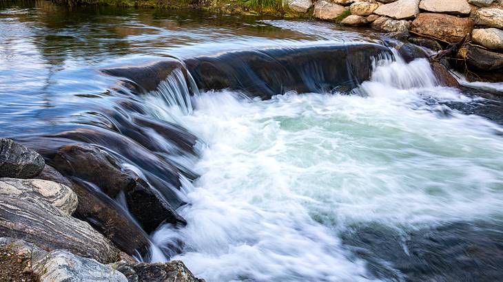 Blue River water flowing rapidly over rocks surrounded by greenery