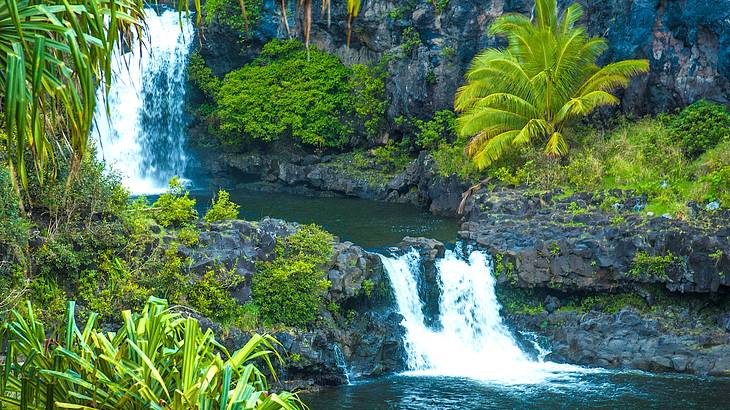 Rock pools and small waterfalls amongst lush greenery, Maui, Hawaii, USA