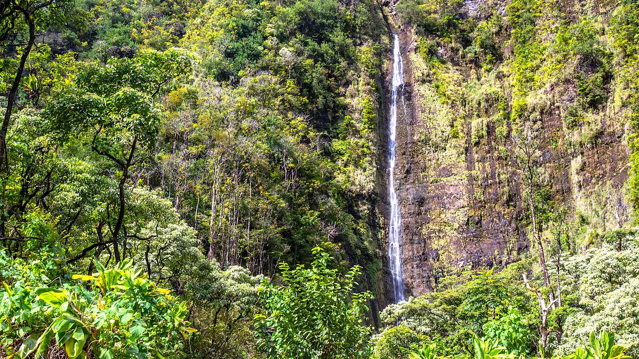 Waimoku Falls along the Pipiwai Trail in Maui, Hawaii, USA