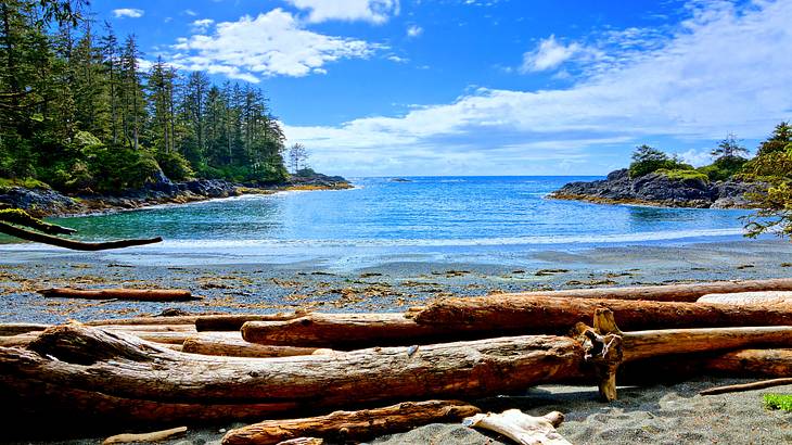 Tofino campsites - Pacific Rim National Park coastline, Vancouver Island, BC
