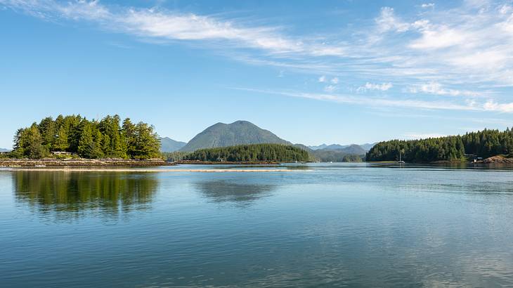 Nature and water in Tofino, Vancouver Island, BC, Canada