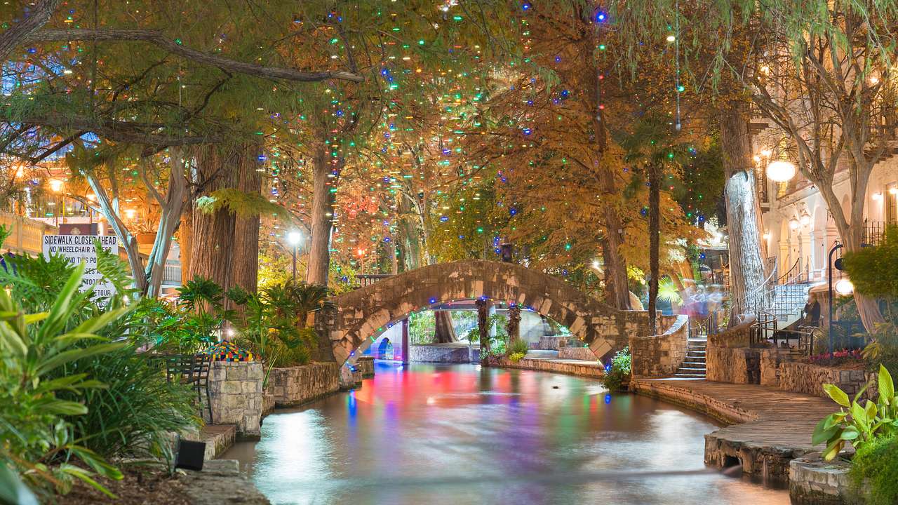 Christmas lights on trees with a bridge over a body of water