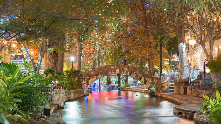 Christmas lights on trees with a bridge over a body of water