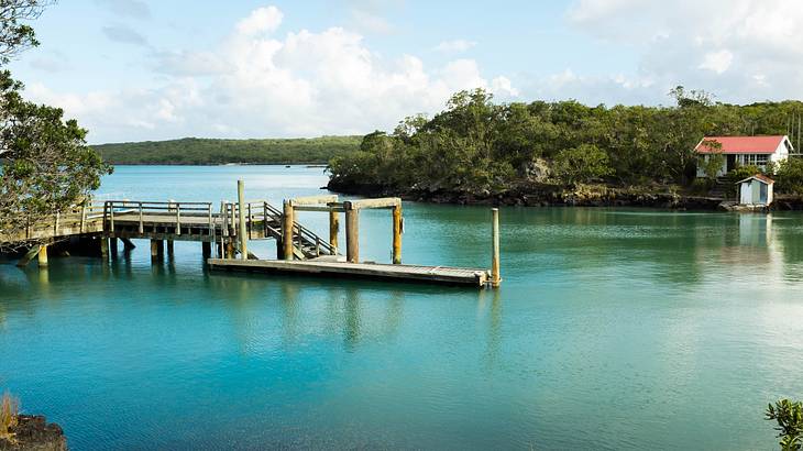 View of water, greenery, a dock and a house on Rangitoto Island, NZ