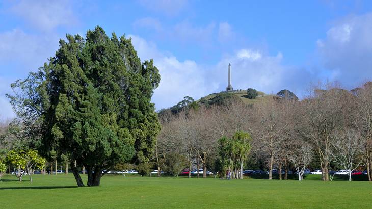 The very green Cornwall Park in Auckland, NZ