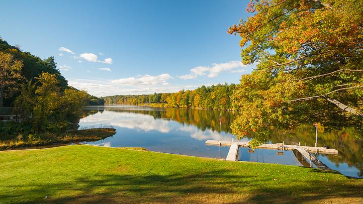 A river winding through autumn foliage and green grass under a partly-cloudy sky A river winding through autumn foliage and green grass under a partly-cloudy sky