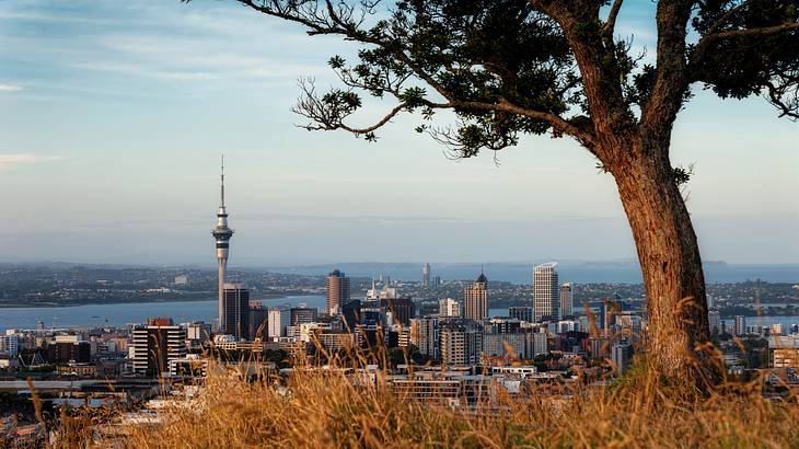 View of Auckland filled with buildings and water from Mount Eden, NZ