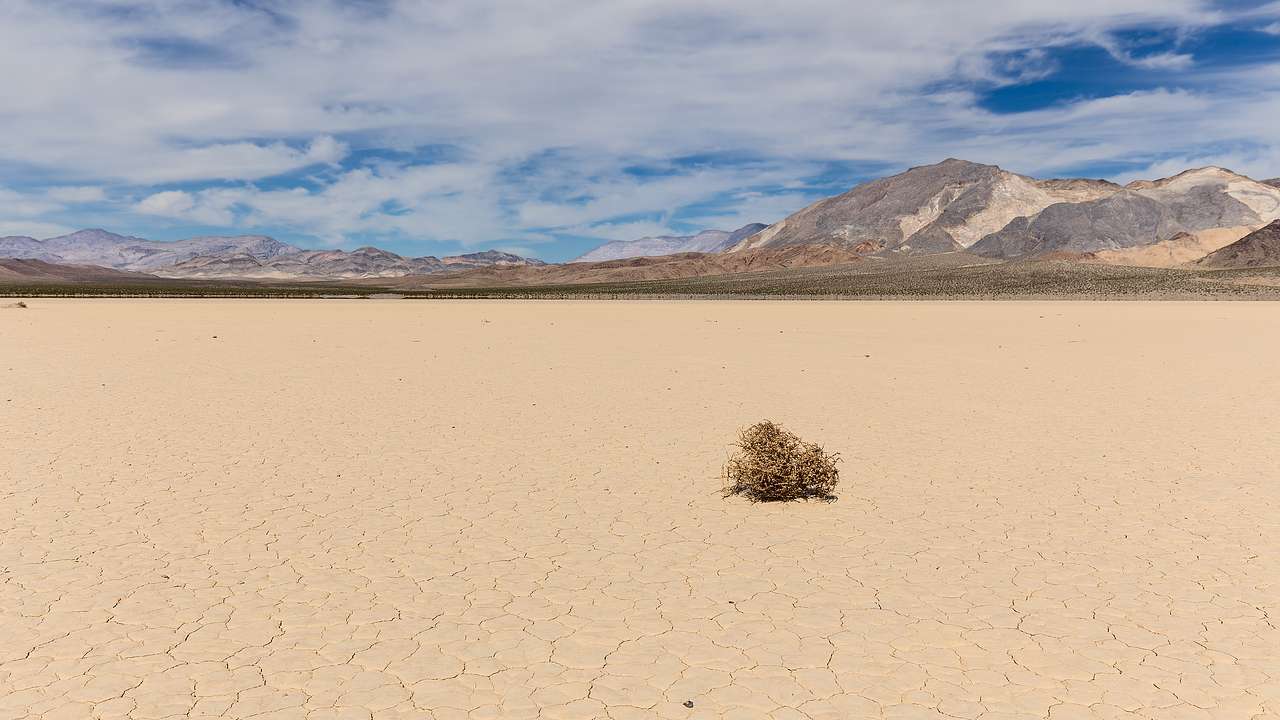 A tumbleweed on a cracked, dry lake bed with rocky mountains in the background
