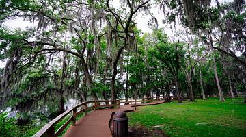 A wooden walkway lined by trees in a park under an overcast sky