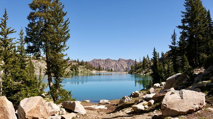 A lake surrounded by rocks and alpine trees with a mountain in the distance A lake surrounded by rocks and alpine trees with a mountain in the distance