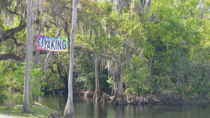 "Kayaking" poster hanging on trees along a river on a sunny day "Kayaking" poster hanging on trees along a river on a sunny day