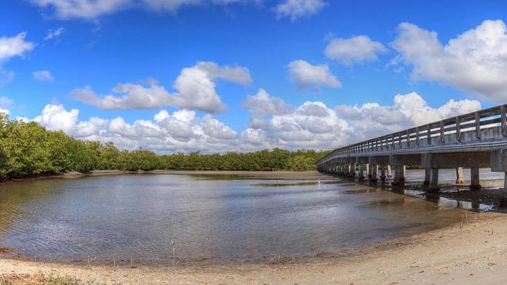 A narrow concrete bridge over a shallow water body leading to a park on a sunny day