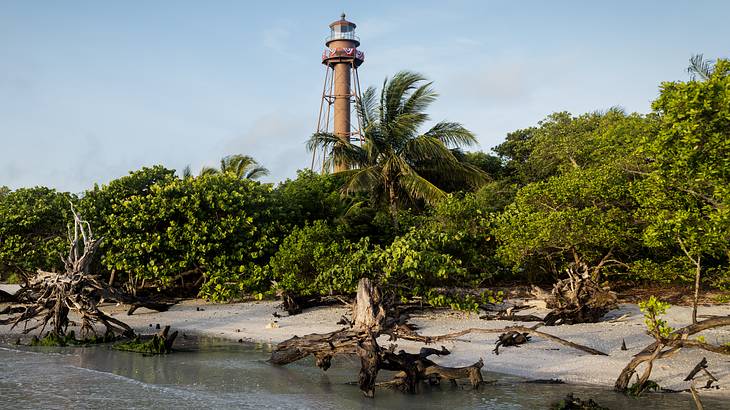 An island with decaying mangroves and tropical trees surrounding a brown lighthouse