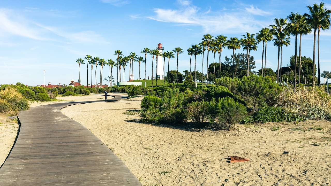 A wooden path and bushes on the sand with a lighthouse and palm trees in the back