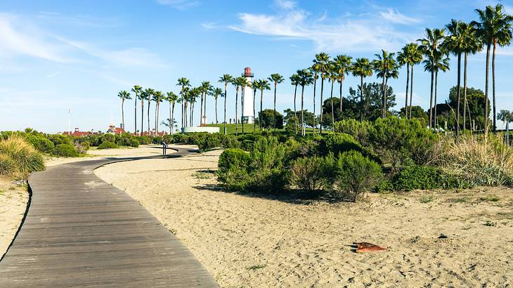 A wooden path and bushes on the sand with a lighthouse and palm trees in the back