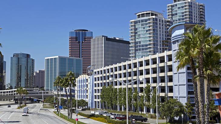 A skyline of tall buildings facing a street with palm trees on the sidewalk