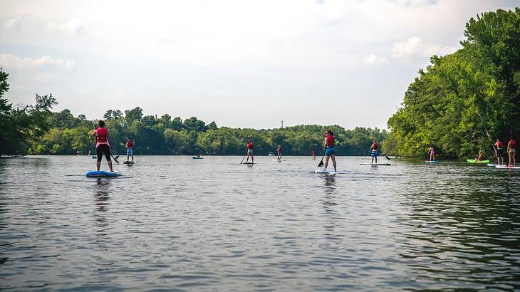 A lake with people stand-up paddleboarding on it and trees around it