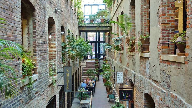 Stone buildings within a narrow alley with greenery and tables in the middle