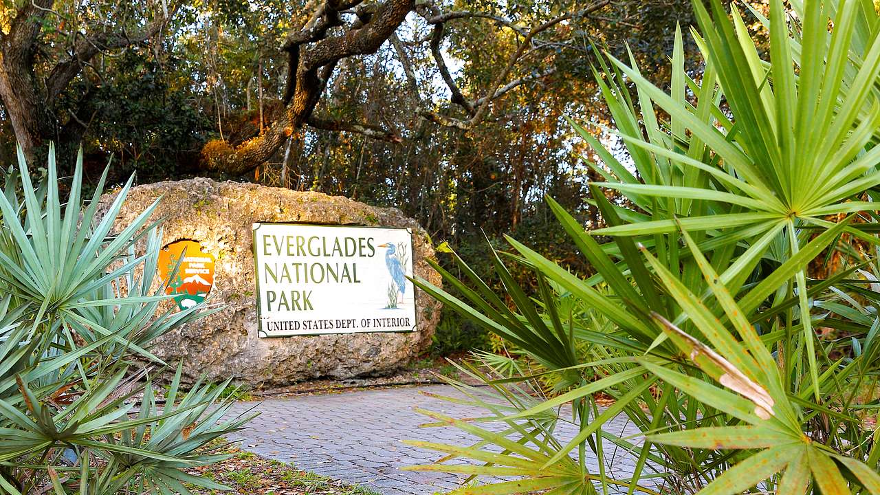A huge rock with an "Everglades National Park" sign surrounded by trees