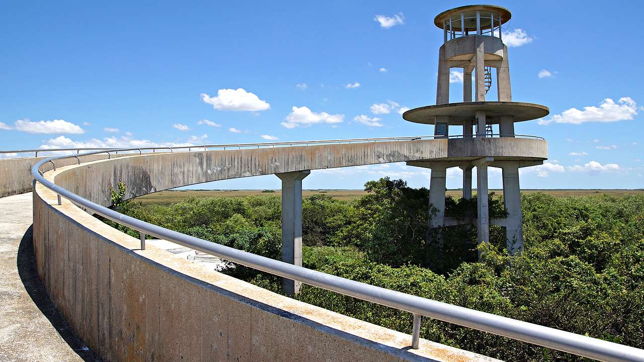 A concrete walkway to an observation tower overlooking greenery on a sunny day