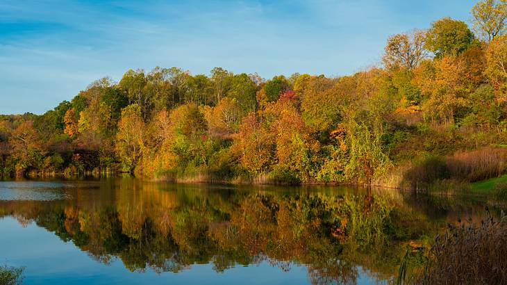 A lake surrounded by green, red, and orange fall trees