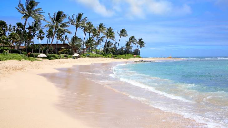 A white sand beach with coconut trees in the distance on a sunny day