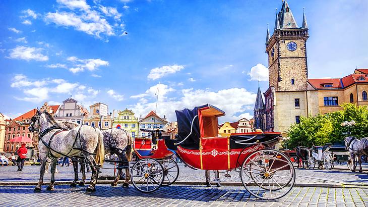 Side view of two horses with a carriage in a square with buildings at the back