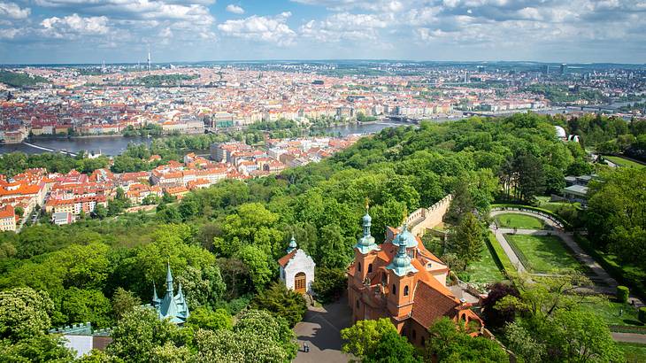 A city skyline full of houses with red roofs and trees from a hilltop park