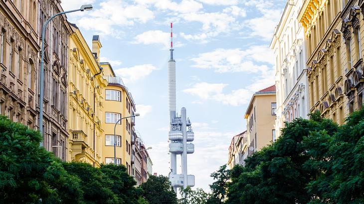 A television tower in between rows of buildings and trees on each side