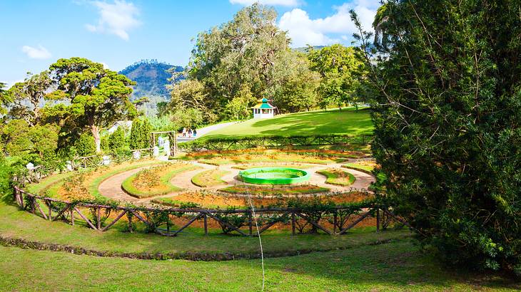 A green lawn surrounding a circular garden with trees around