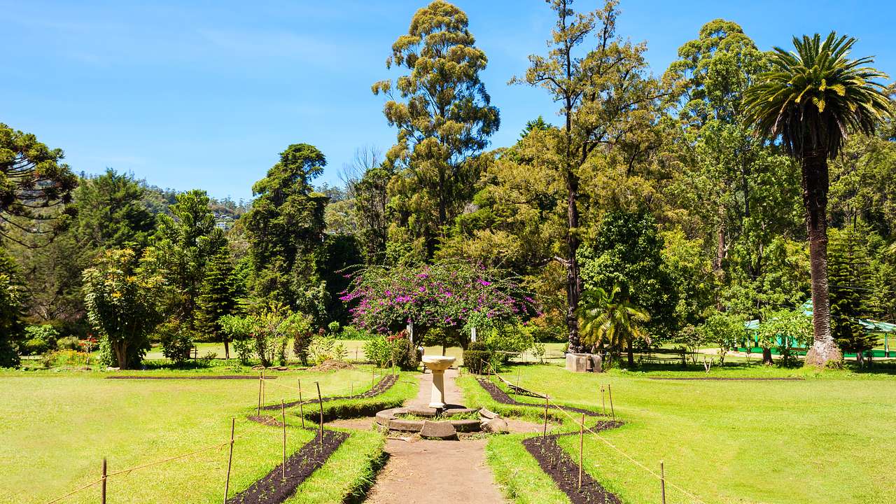 A statue in the middle of a pathway surrounded by grass and trees at the back