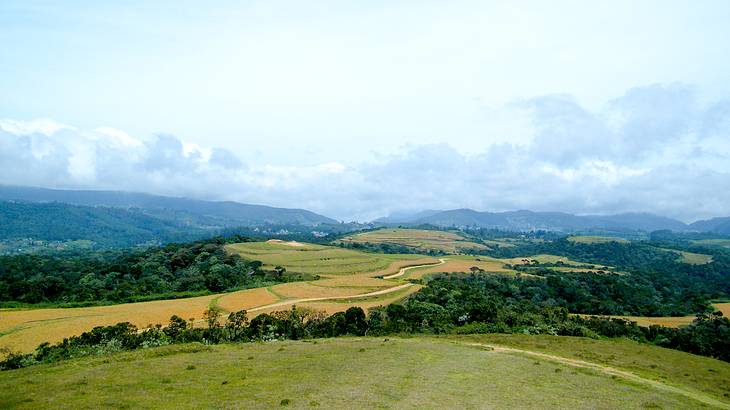 Hilly vast green slopes with white clouds above