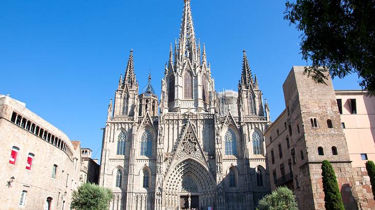 Barcelona Cathedral, Gothic Quarter, Barcelona, Spain
