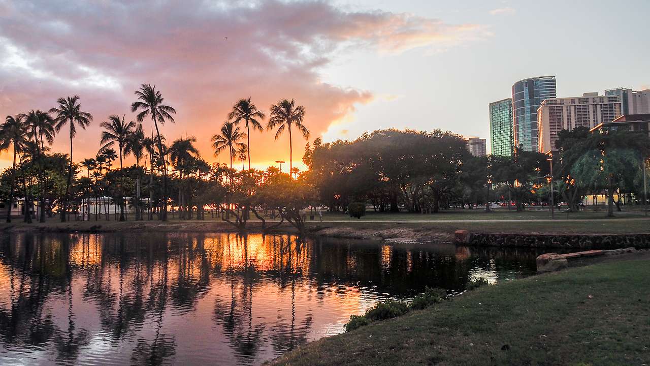 Palm trees, buildings, and a sunset reflected in a lagoon