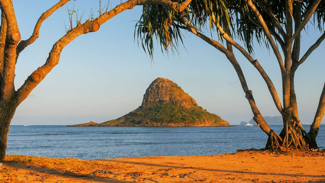 View of a hat-shaped island against a cloudless sky from a beach under trees