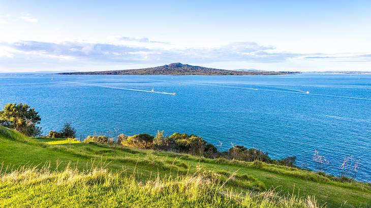 A hilly island on the horizon with boats at sea and a grassy meadow in the foreground