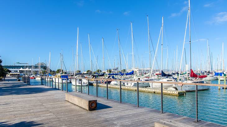 A marina full of boats on the water at sunset with a boardwalk on the left