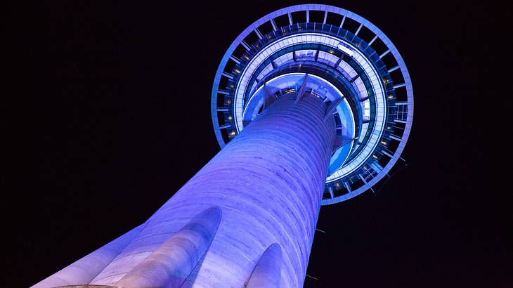 A tall grey tower lit in purple with a viewing stage at the top against a black sky