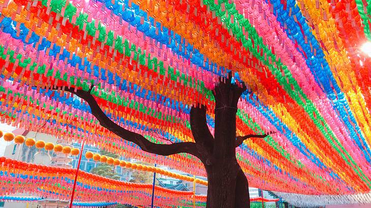 Rows of colourful lanterns around a bare tree trunk from below