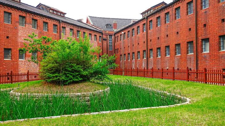 The outside of a brick museum building with many windows, facing a garden with a bush